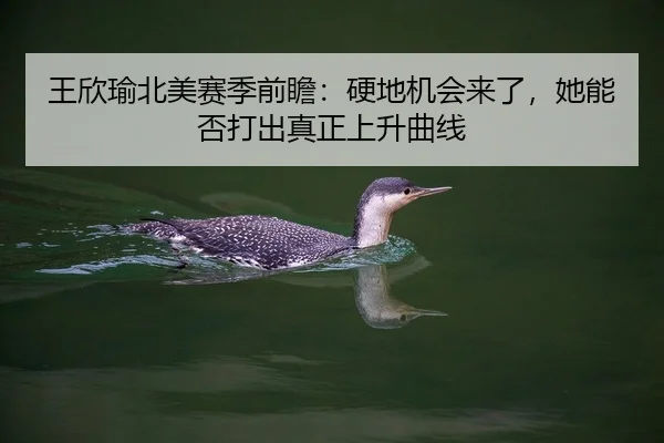 王欣瑜北美赛季前瞻：硬地机会来了，她能否打出真正上升曲线 | Kering